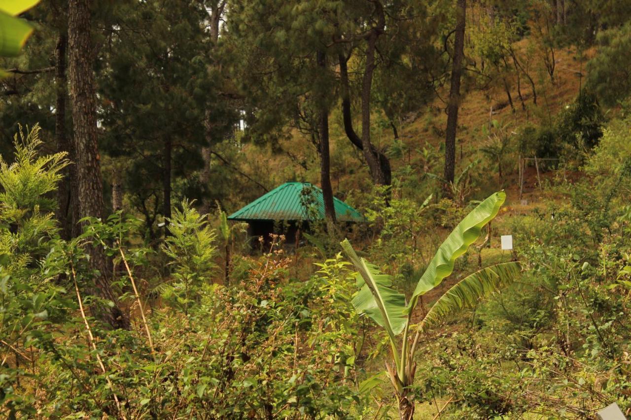 Heal Farm - Himalayan Eco Alternative Lifestyle For Agriculture Recreation And Meditation Nainital Ngoại thất bức ảnh